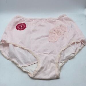 Vintage Hanna Ladies Panties 100% Nylon Lace Pink Full Briefs Granny Medium